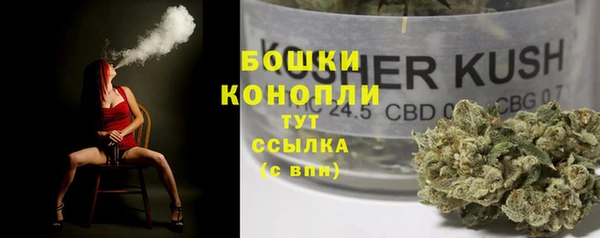 сатива Белокуриха