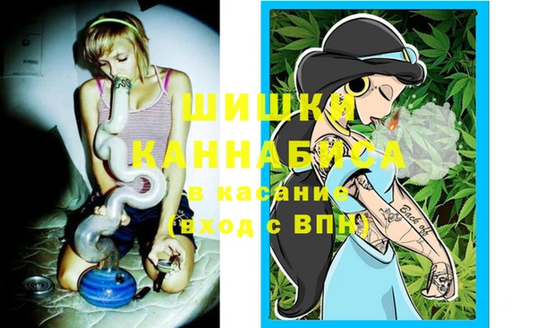 сатива Белокуриха