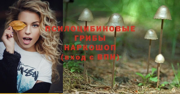 ешки Беломорск