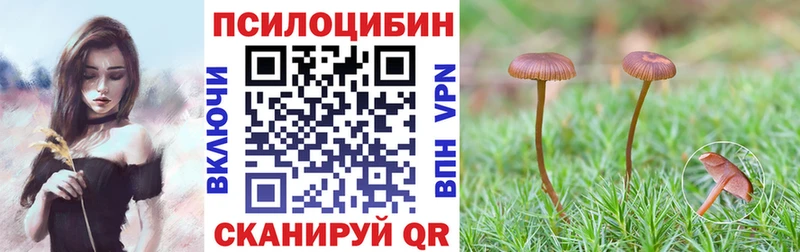 Псилоцибиновые грибы прущие грибы  Котово 